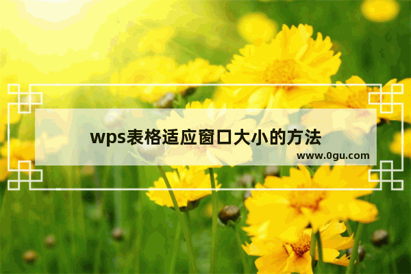 wps表格适应窗口大小的方法