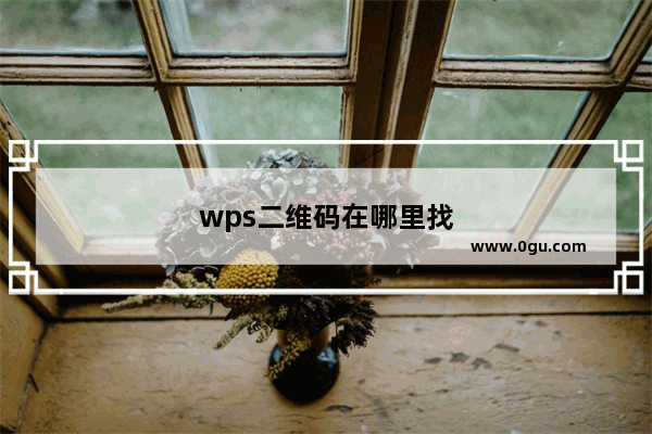 wps二维码在哪里找