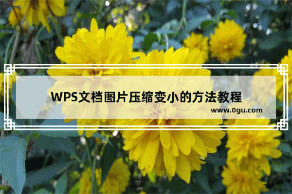 WPS文档图片压缩变小的方法教程