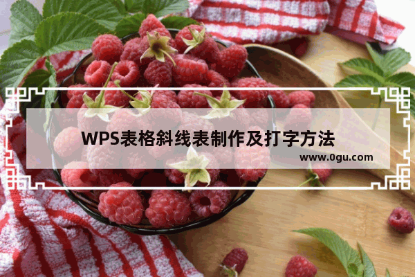 WPS表格斜线表制作及打字方法