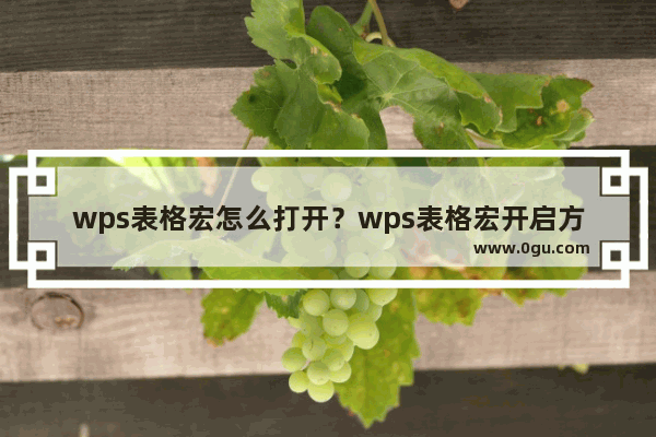 wps表格宏怎么打开？wps表格宏开启方法