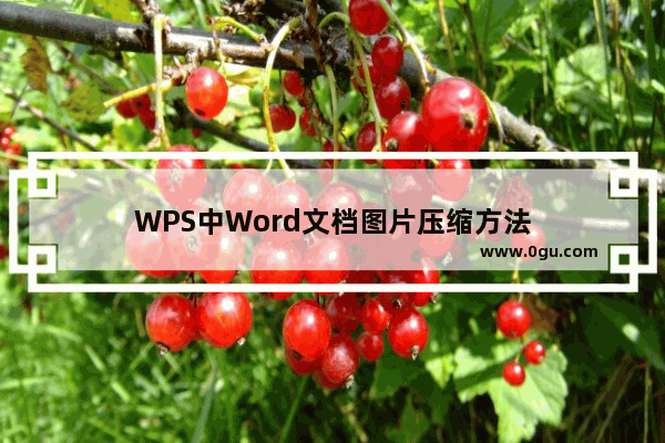 WPS中Word文档图片压缩方法