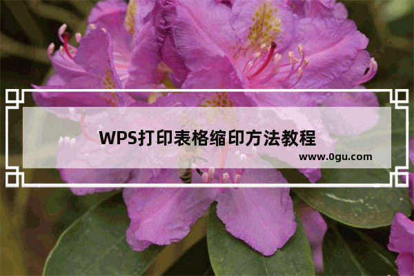 WPS打印表格缩印方法教程