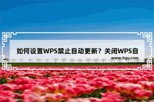 如何设置WPS禁止自动更新？关闭WPS自动升级功能