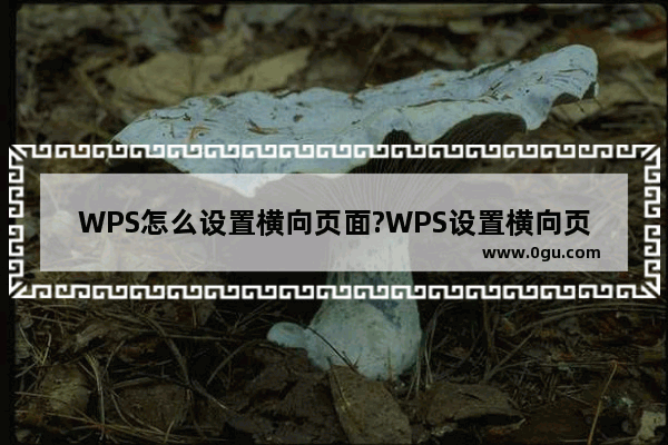 WPS怎么设置横向页面?WPS设置横向页面步骤