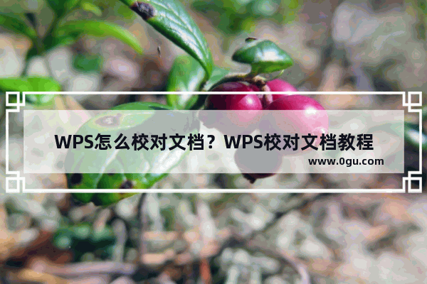 WPS怎么校对文档？WPS校对文档教程