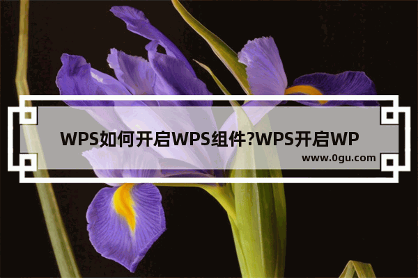 WPS如何开启WPS组件?WPS开启WPS组件方法