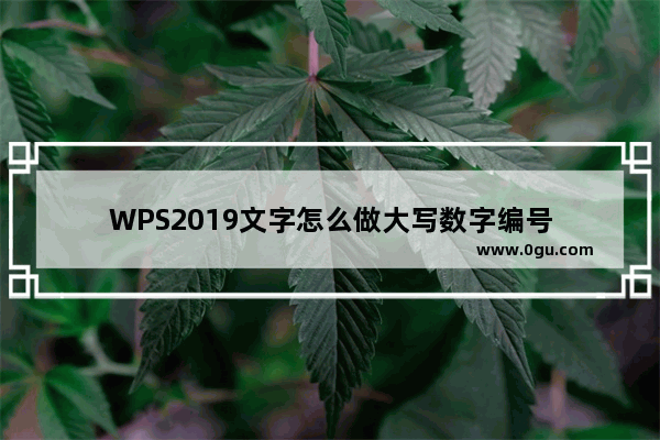 WPS2019文字怎么做大写数字编号