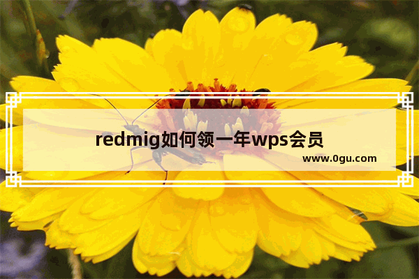 redmig如何领一年wps会员