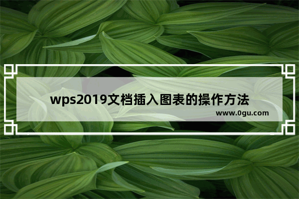 wps2019文档插入图表的操作方法