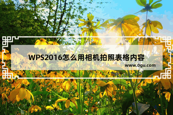 WPS2016怎么用相机拍照表格内容