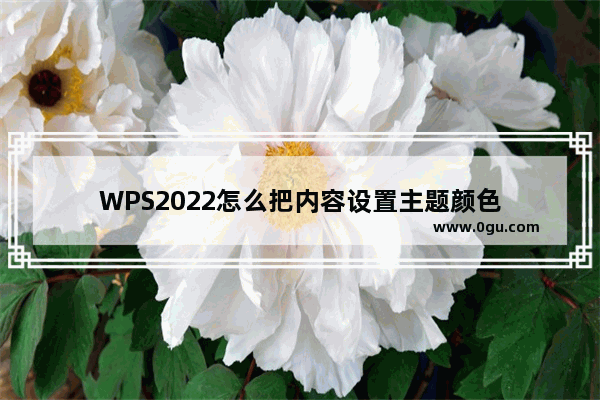 WPS2022怎么把内容设置主题颜色