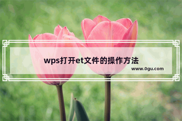 wps打开et文件的操作方法