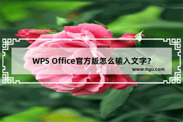 WPS Office官方版怎么输入文字？WPS Office官方版输入文字的方法