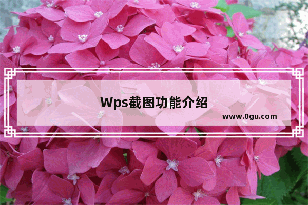 Wps截图功能介绍