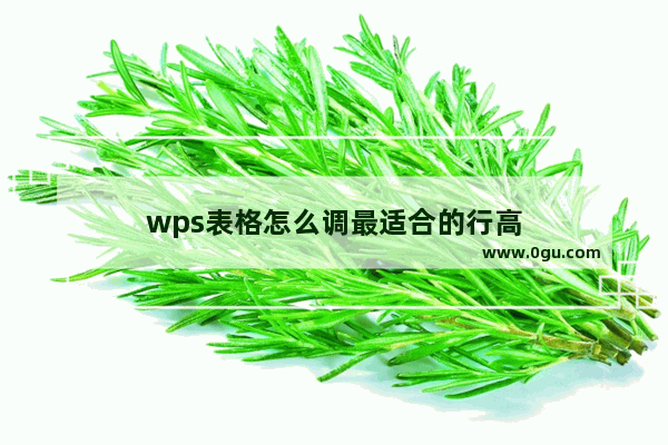 wps表格怎么调最适合的行高