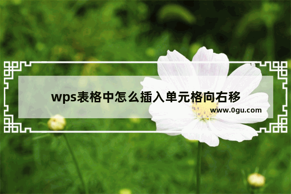 wps表格中怎么插入单元格向右移