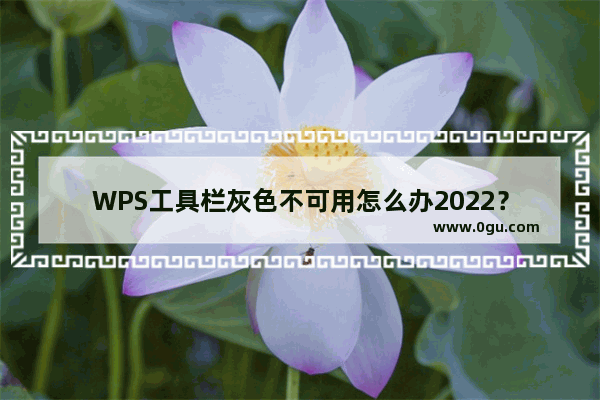 WPS工具栏灰色不可用怎么办2022？