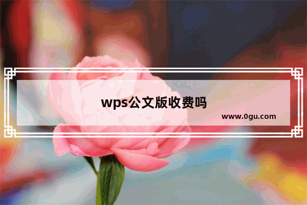 wps公文版收费吗