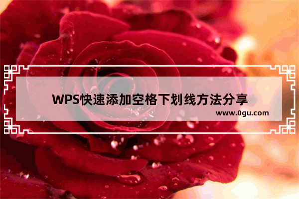 WPS快速添加空格下划线方法分享