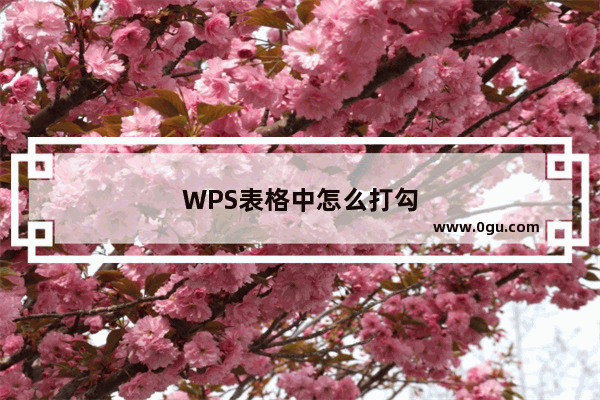 WPS表格中怎么打勾