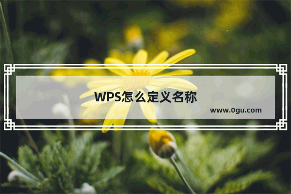 WPS怎么定义名称