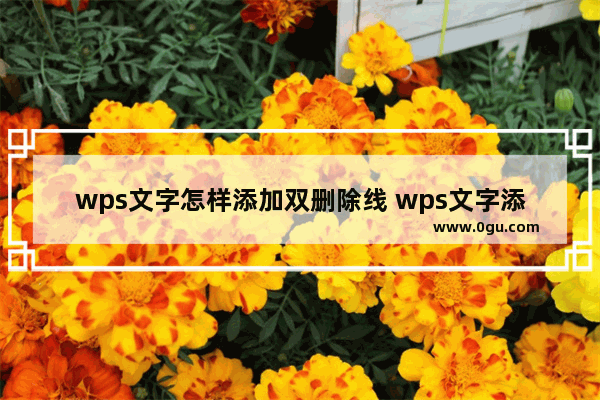 wps文字怎样添加双删除线 wps文字添加双删除线的详细步骤