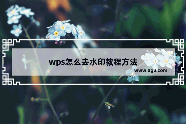 wps怎么去水印教程方法