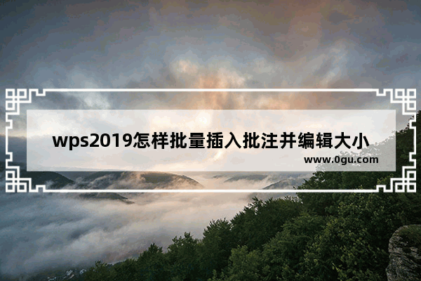 wps2019怎样批量插入批注并编辑大小 插入批注并编辑大小和位置的方法