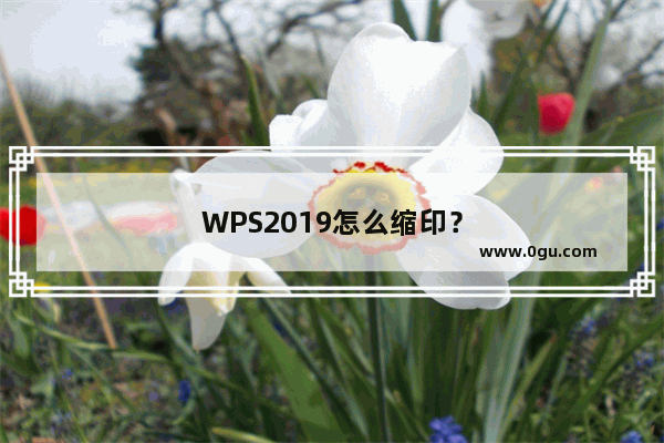 WPS2019怎么缩印？