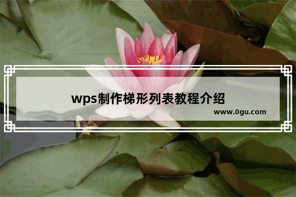 wps制作梯形列表教程介绍