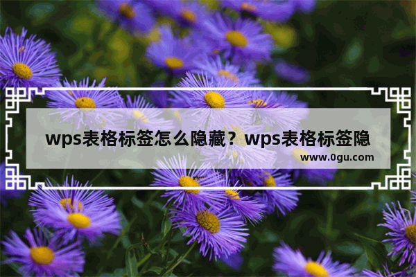 wps表格标签怎么隐藏？wps表格标签隐藏的两种方法