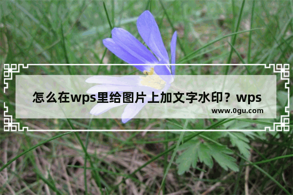 怎么在wps里给图片上加文字水印？wps在图片上添加文字水印的方法