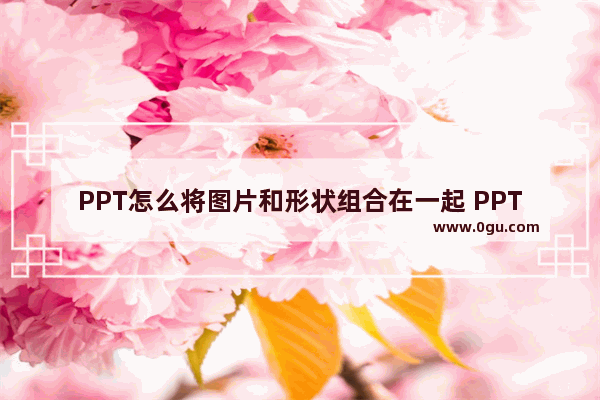 PPT怎么将图片和形状组合在一起 PPT将图片和形状组合在一起的方法