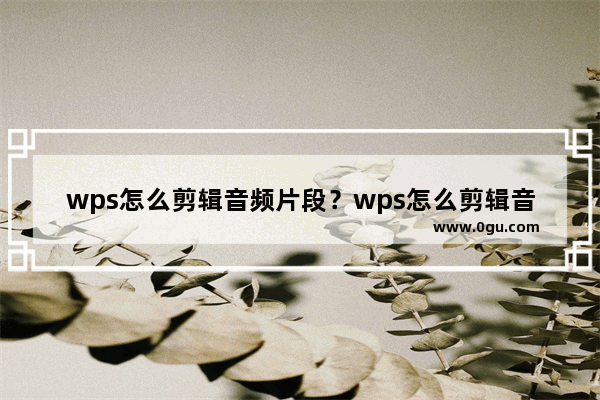 wps怎么剪辑音频片段？wps怎么剪辑音乐成文件教程