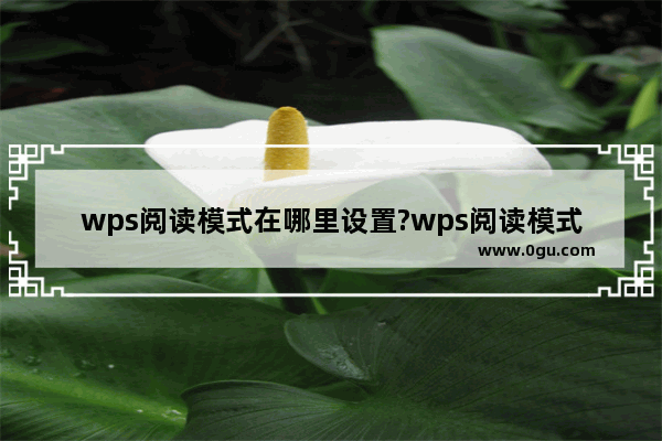 wps阅读模式在哪里设置?wps阅读模式的设置方法