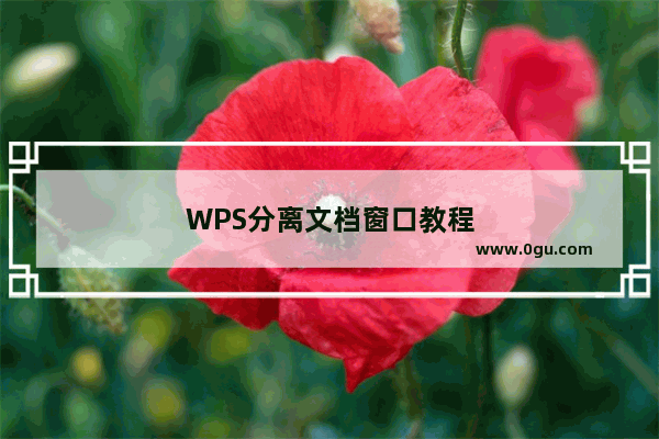 WPS分离文档窗口教程