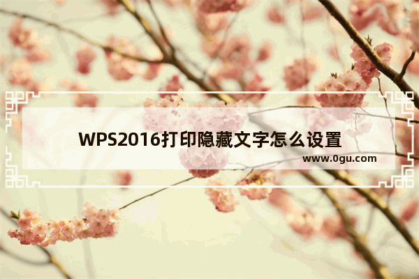 WPS2016打印隐藏文字怎么设置