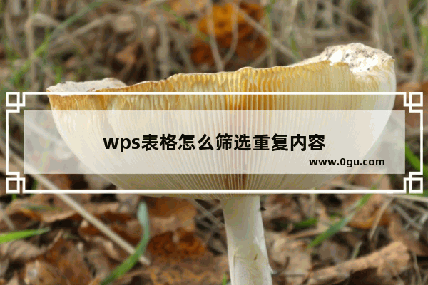 wps表格怎么筛选重复内容