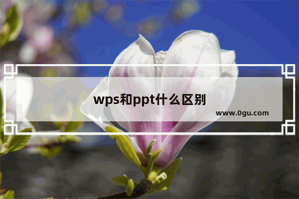 wps和ppt什么区别