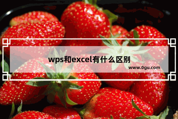 wps和excel有什么区别