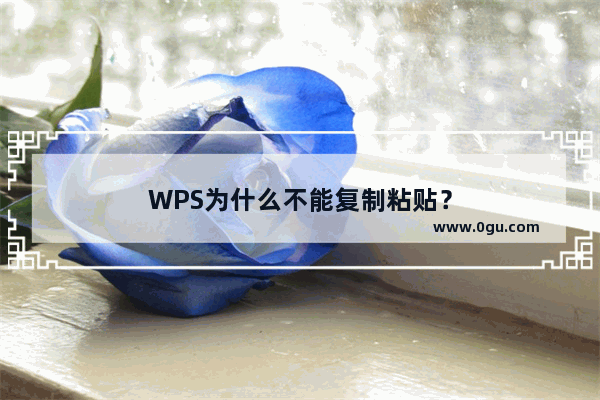 WPS为什么不能复制粘贴？