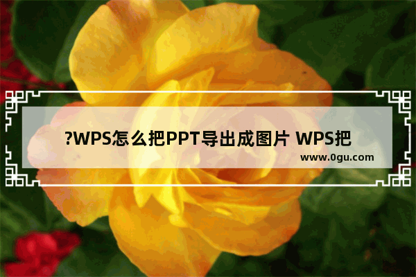 ?WPS怎么把PPT导出成图片 WPS把演示文稿转为图片的方法教程