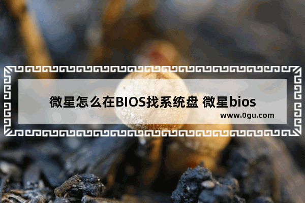 微星怎么在BIOS找系统盘 微星bios如何装机