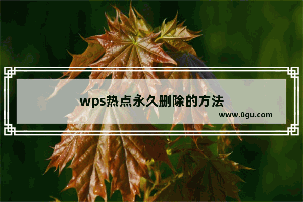 wps热点永久删除的方法