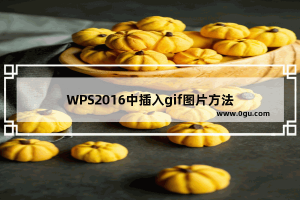 WPS2016中插入gif图片方法