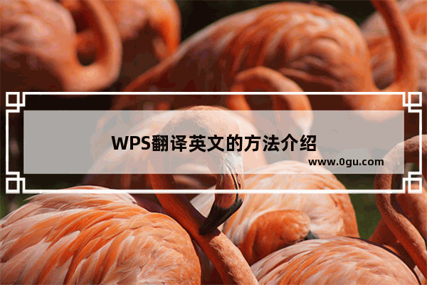 WPS翻译英文的方法介绍