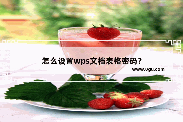 怎么设置wps文档表格密码？