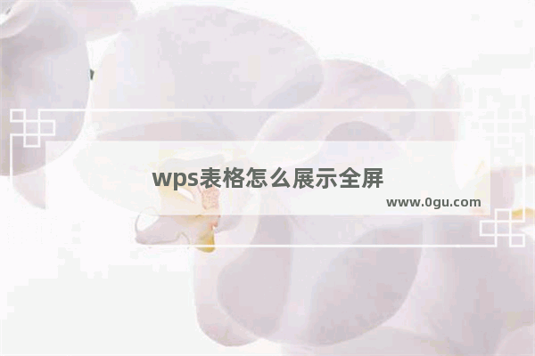 wps表格怎么展示全屏