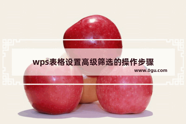 wps表格设置高级筛选的操作步骤